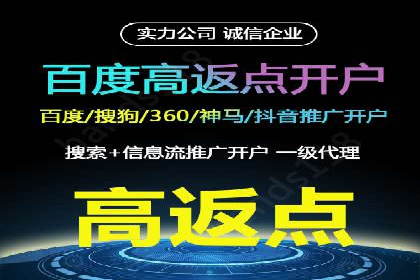 大型企业SEM外包实战案例