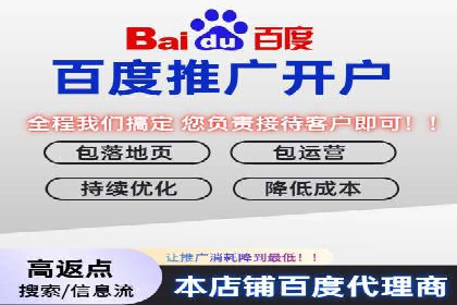 搜索引擎营销（SEM）在电商行业的投放策略案例